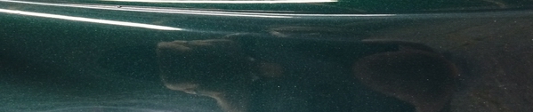scuttle panel after