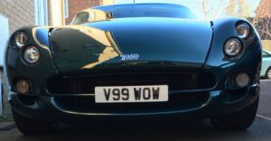 cerbera polished and waxed