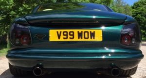 Cooper Green Cerbera in Sunlight