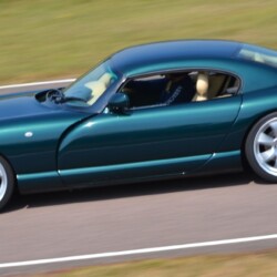 Cerbera at Lydden Hill
