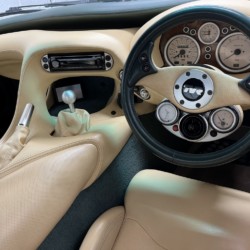 Cerbera interior - 2