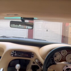 Cerbera interior - 8
