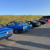 Fish n chip run 2023-1